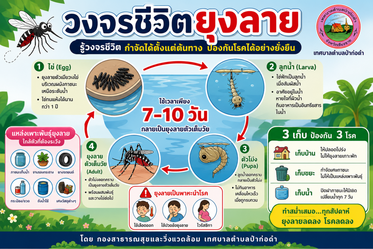 เทศบาลตำบลป่าก่อดำ